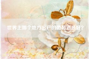 世界上哪個(gè)地方出產(chǎn)的葡萄酒最好？