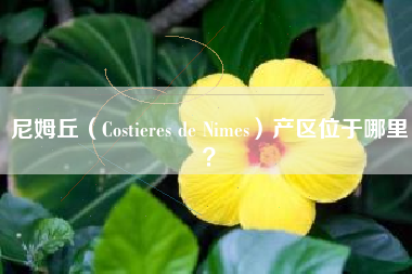 尼姆丘（Costieres de Nimes）產(chǎn)區(qū)位于哪里？
